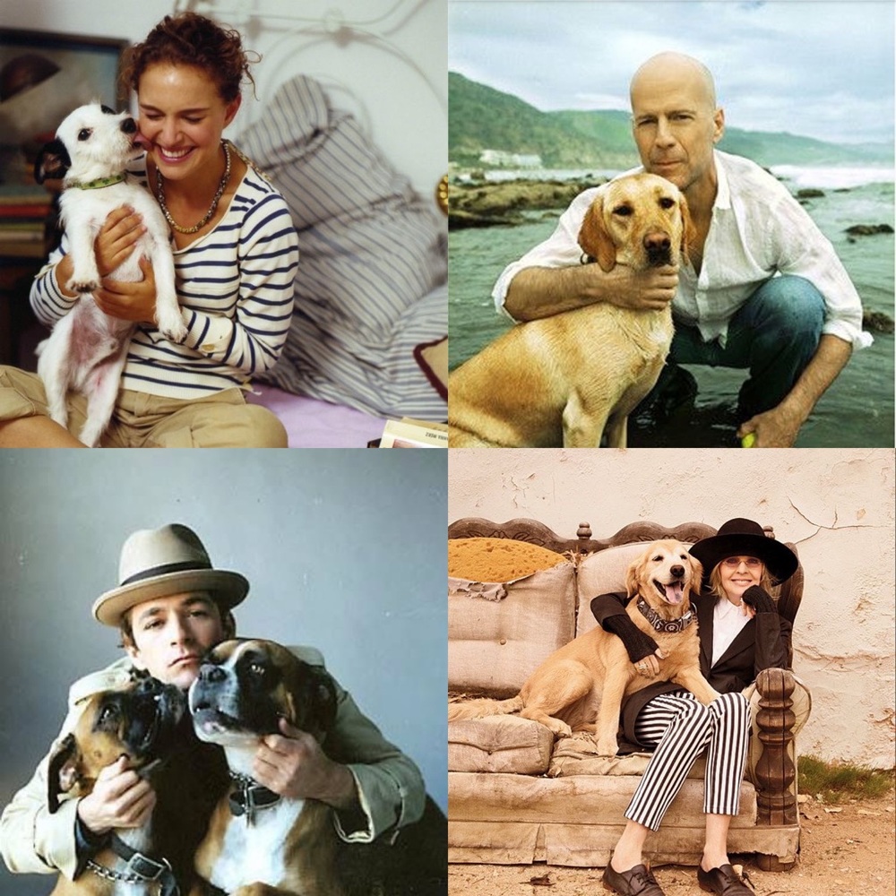 🌟Design House Pillow - Picture 9 of 16